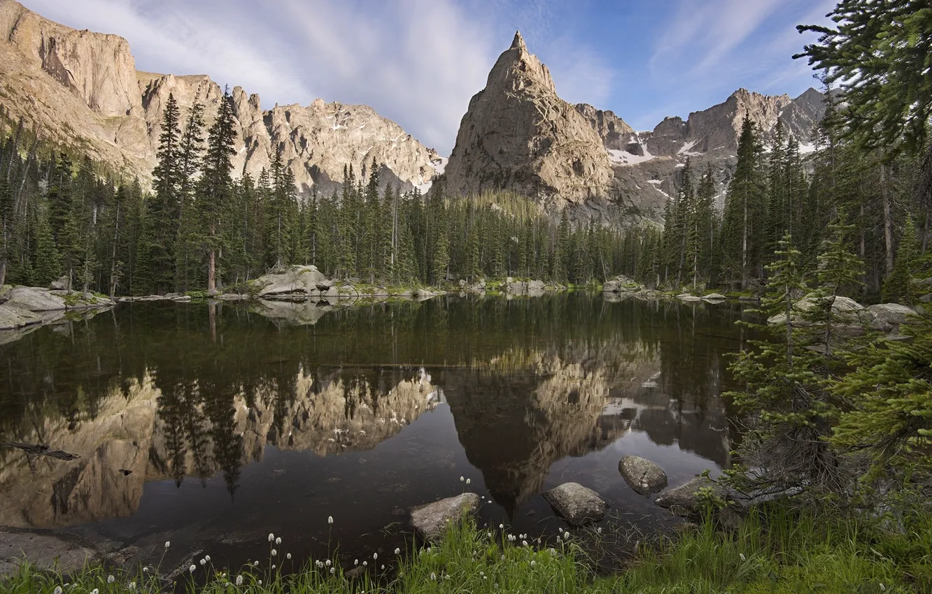 Photo wallpaper trees, landscape, mountains, lake