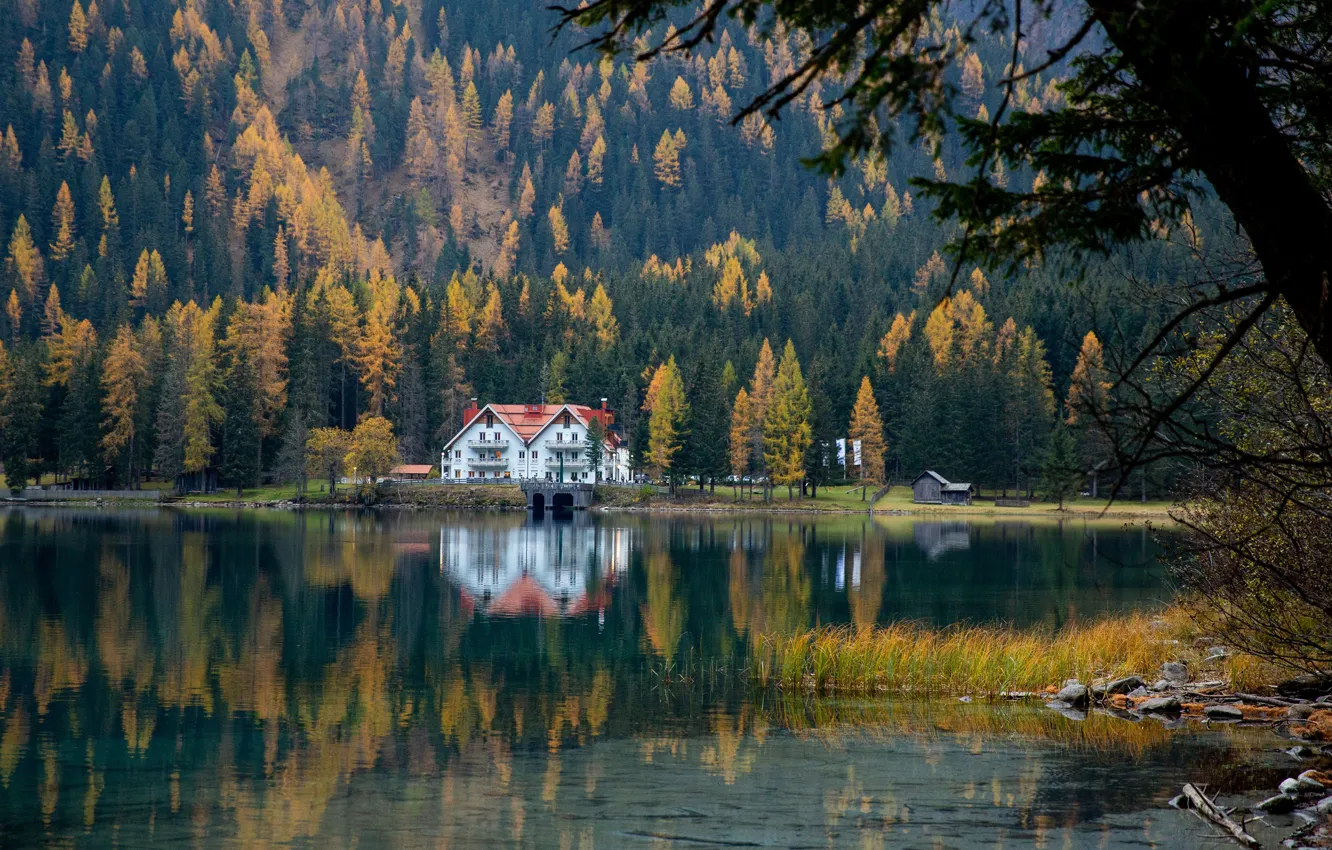 Photo wallpaper autumn, forest, trees, branches, lake, reflection, shore, home