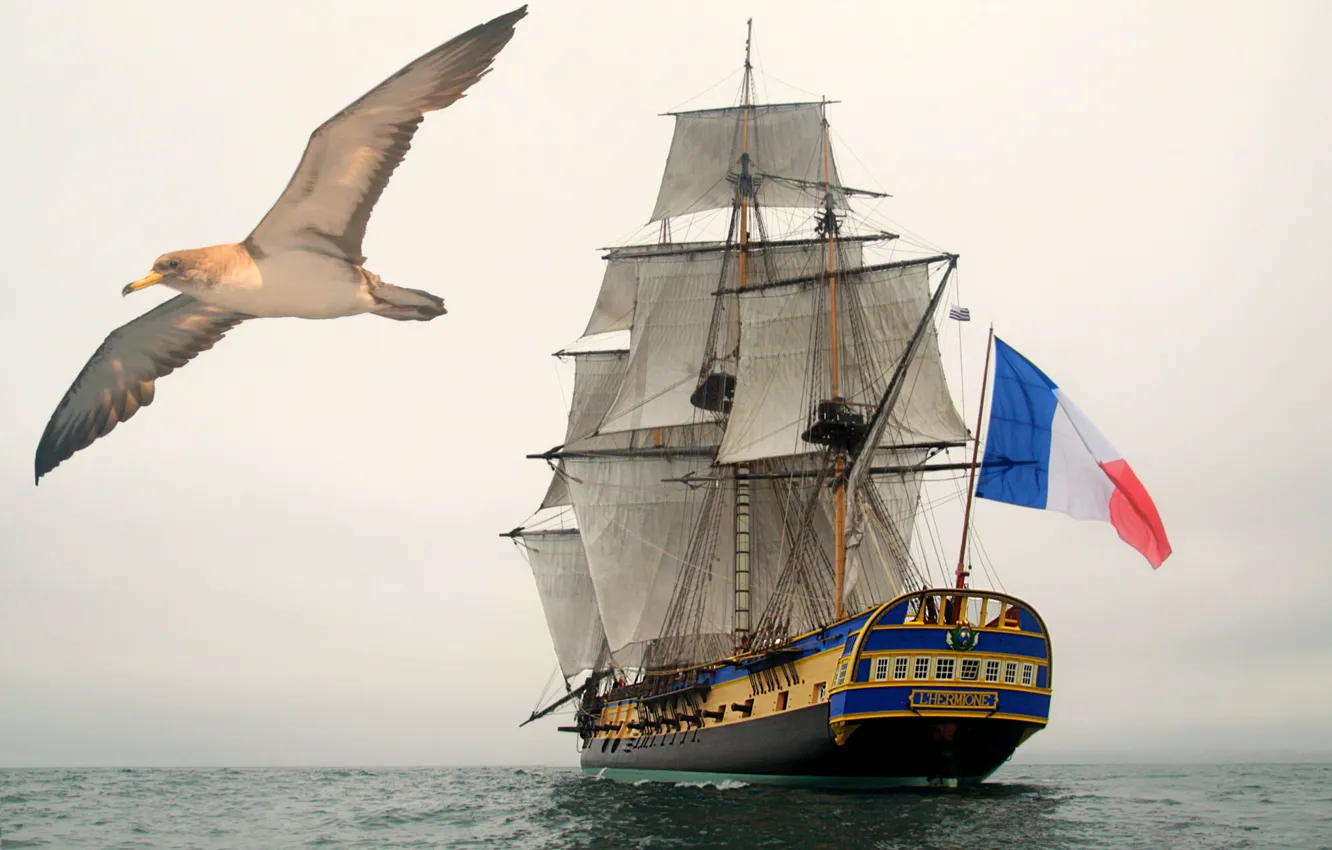 Photo wallpaper ship, frigate, Hermione, sailing