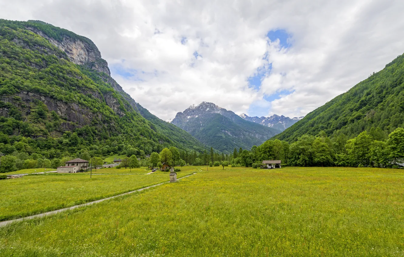 Photo wallpaper grass, clouds, trees, mountains, Switzerland, valley, gorge, Canton Ticino