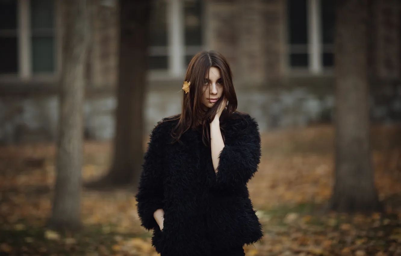 Photo wallpaper autumn, leaves, Ashley, Jesse Duke