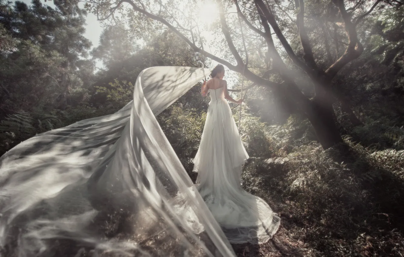Photo wallpaper forest, girl, dress, the bride, veil