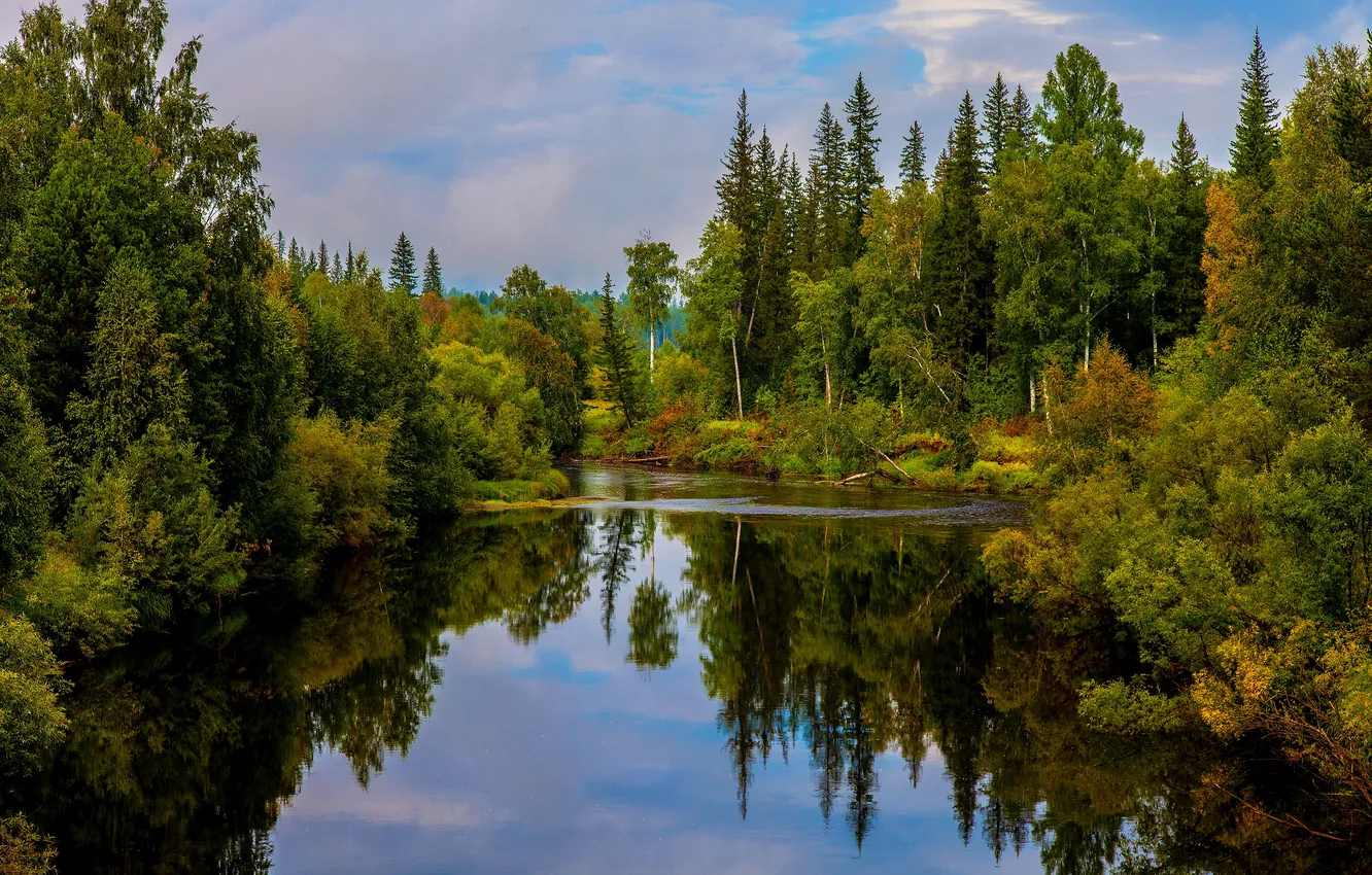 Photo wallpaper forest, the sky, clouds, trees, landscape, lake, reflection, river