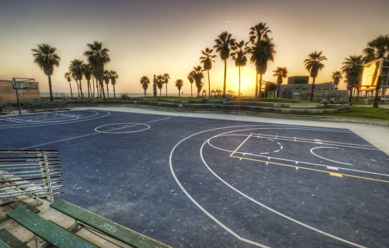 Photo wallpaper beach, summer, sunset, palm trees, the evening, Basketball