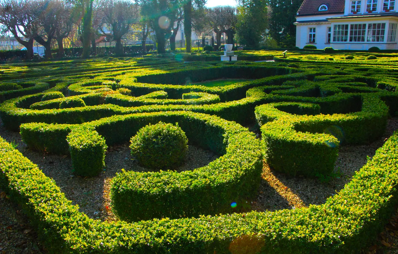 Photo wallpaper park, garden, Hedge