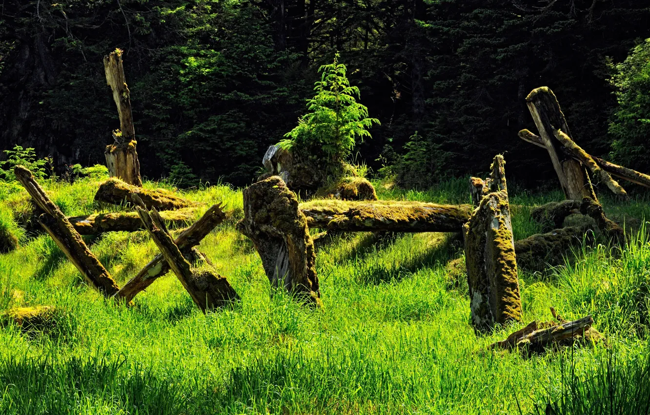 Photo wallpaper Canada, Canada, British Columbia, British Columbia, Gwaii Haanas National Park, Gwaii Haanas National Park