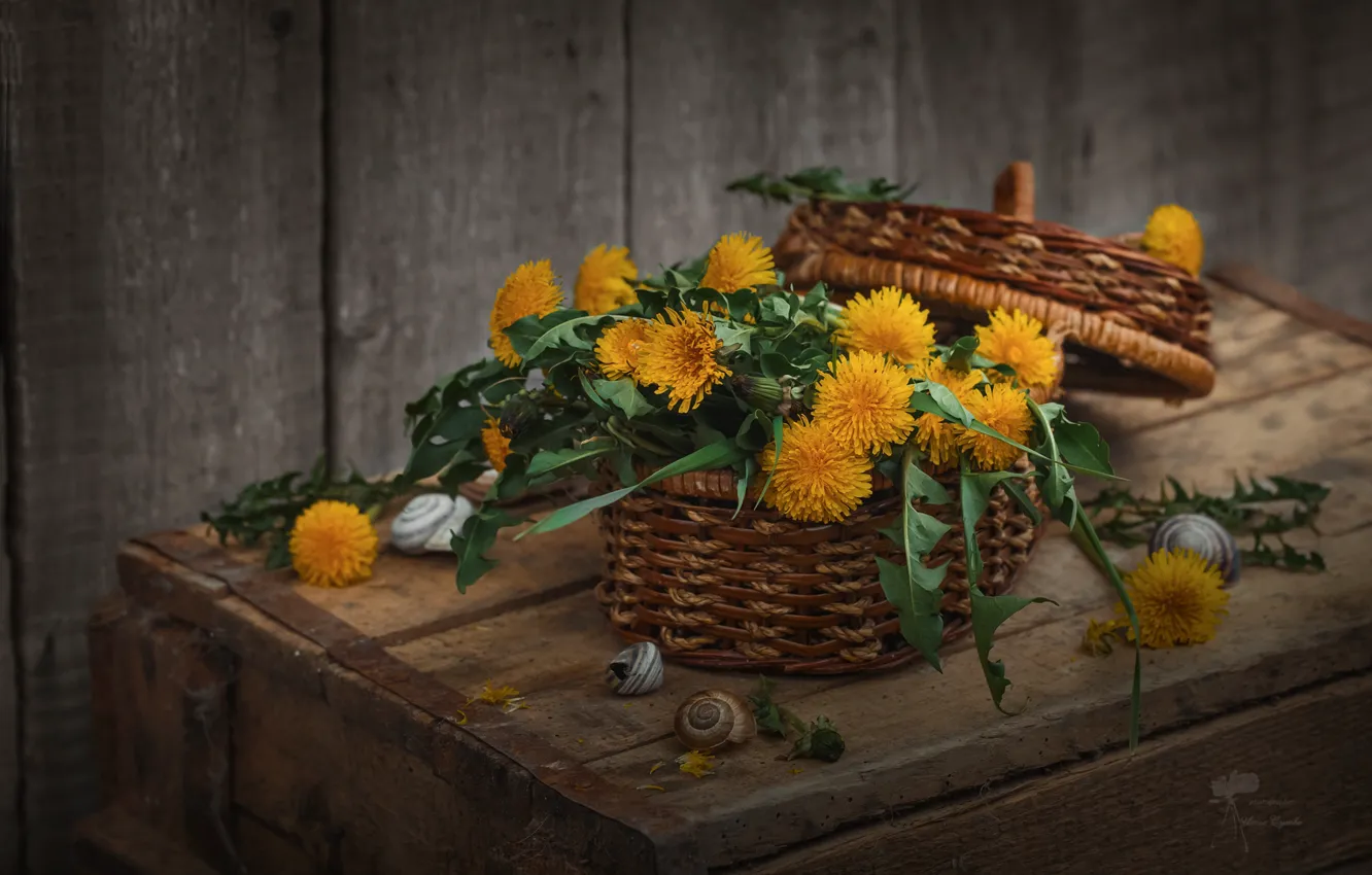 Photo wallpaper flowers, dandelion, basket, bouquet, still life