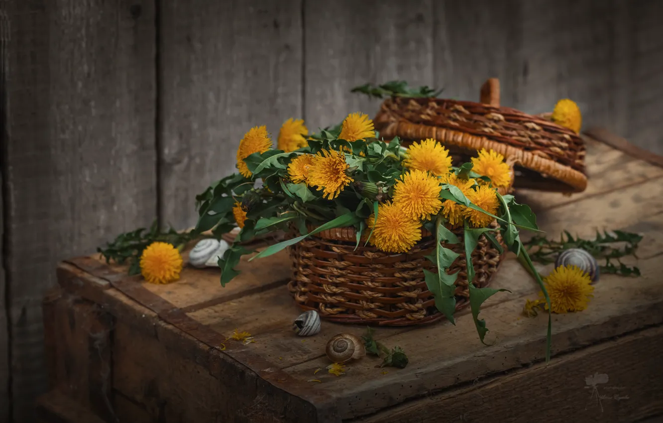 Photo wallpaper flowers, basket, bouquet, still life, dandelions