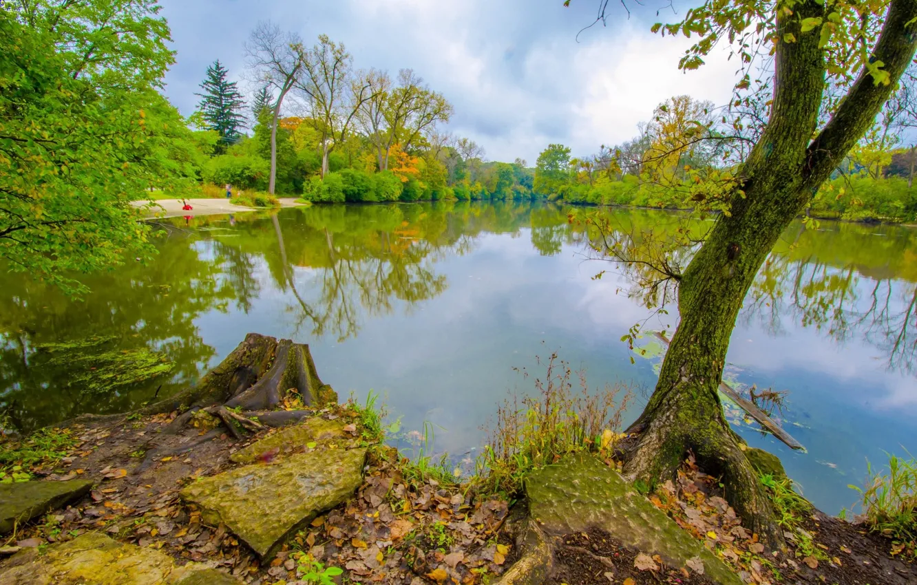 Photo wallpaper landscape, nature, lake