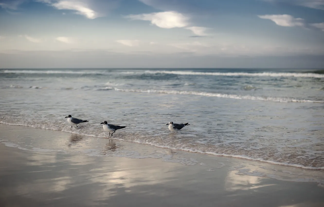 Photo wallpaper waves, beach, sky, clouds, bokeh, reflection, horizon, foam