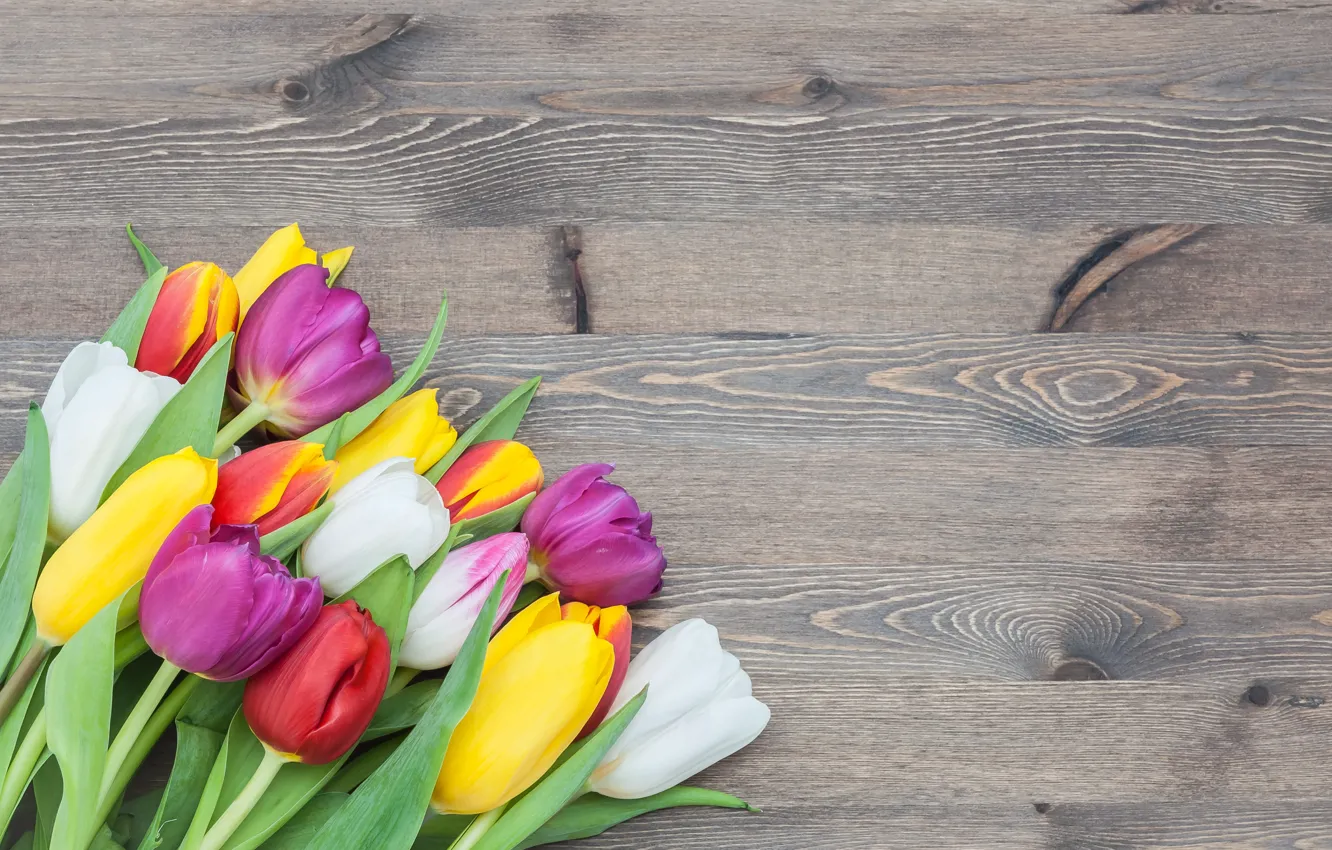 Wallpaper Flowers, Bouquet, Colorful, Tulips, Love, Pink, Wood, Pink 