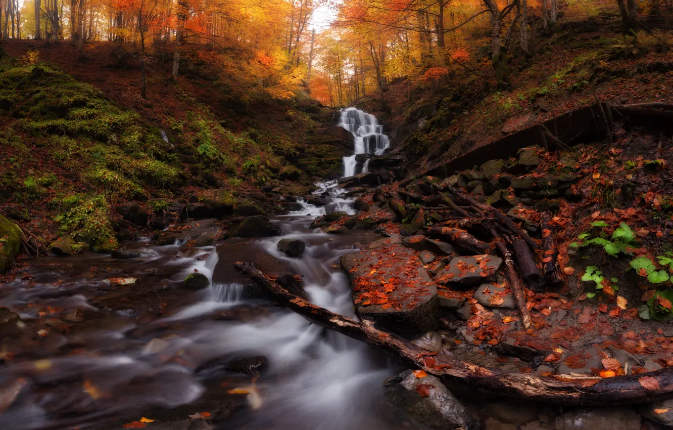 Photo wallpaper autumn, leaves, trees, Ukraine, Carpathians, Transcarpathia, mountain Shypit waterfall