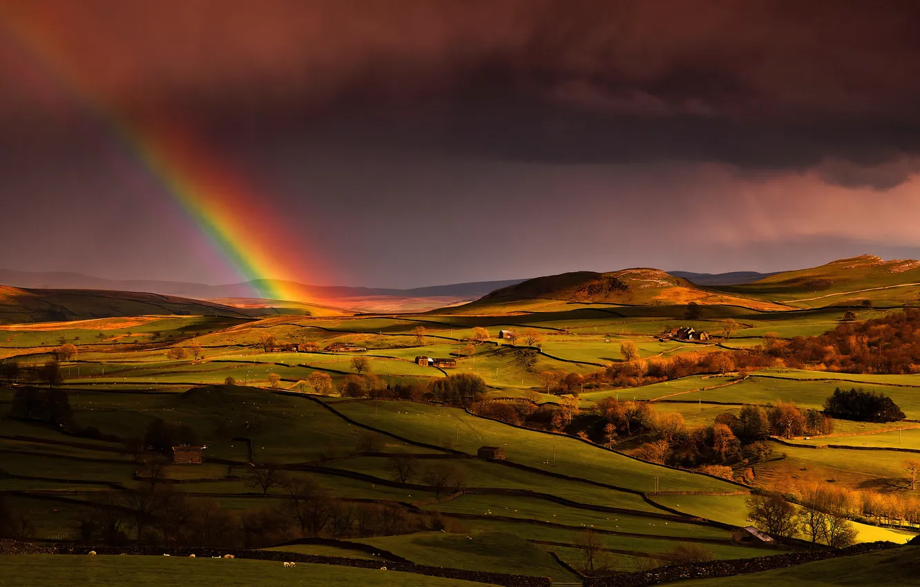 Photo wallpaper autumn, the sky, light, trees, clouds, rain, hills, view