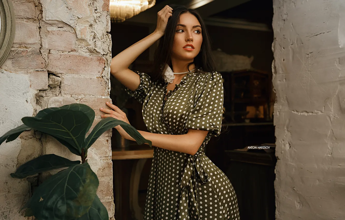 Photo wallpaper girl, pose, style, hands, dress, brunette, long hair, polka dot