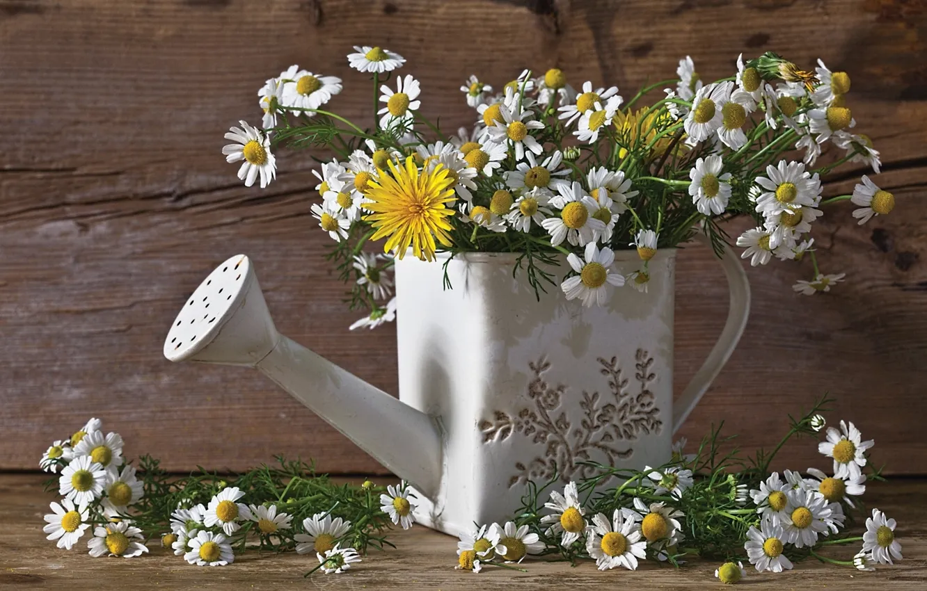 Photo wallpaper dandelion, chamomile, bouquet, lake