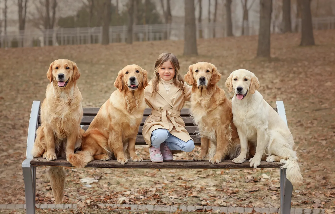 Photo wallpaper autumn, dogs, trees, bench, nature, pose, smile, Park