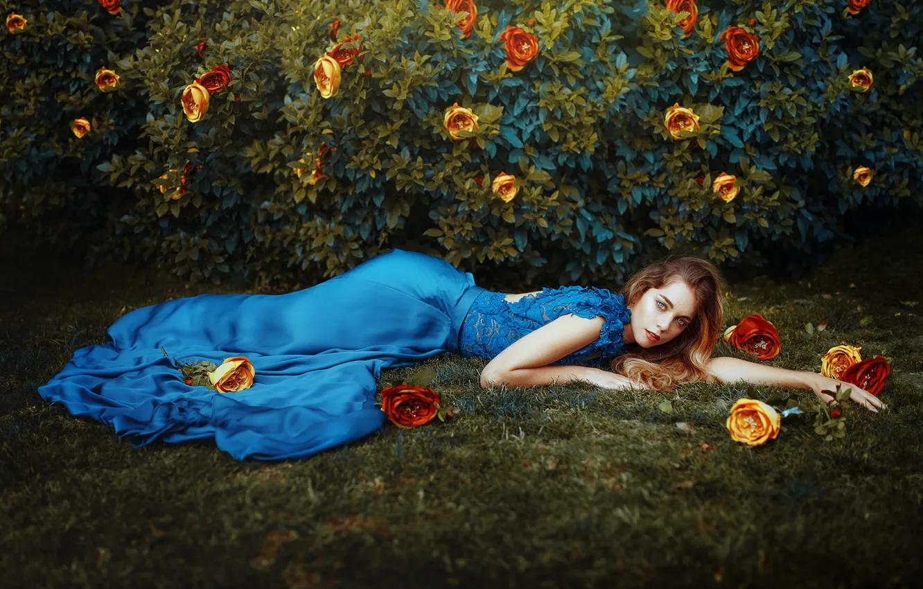 Photo wallpaper girl, roses, dress, the bushes