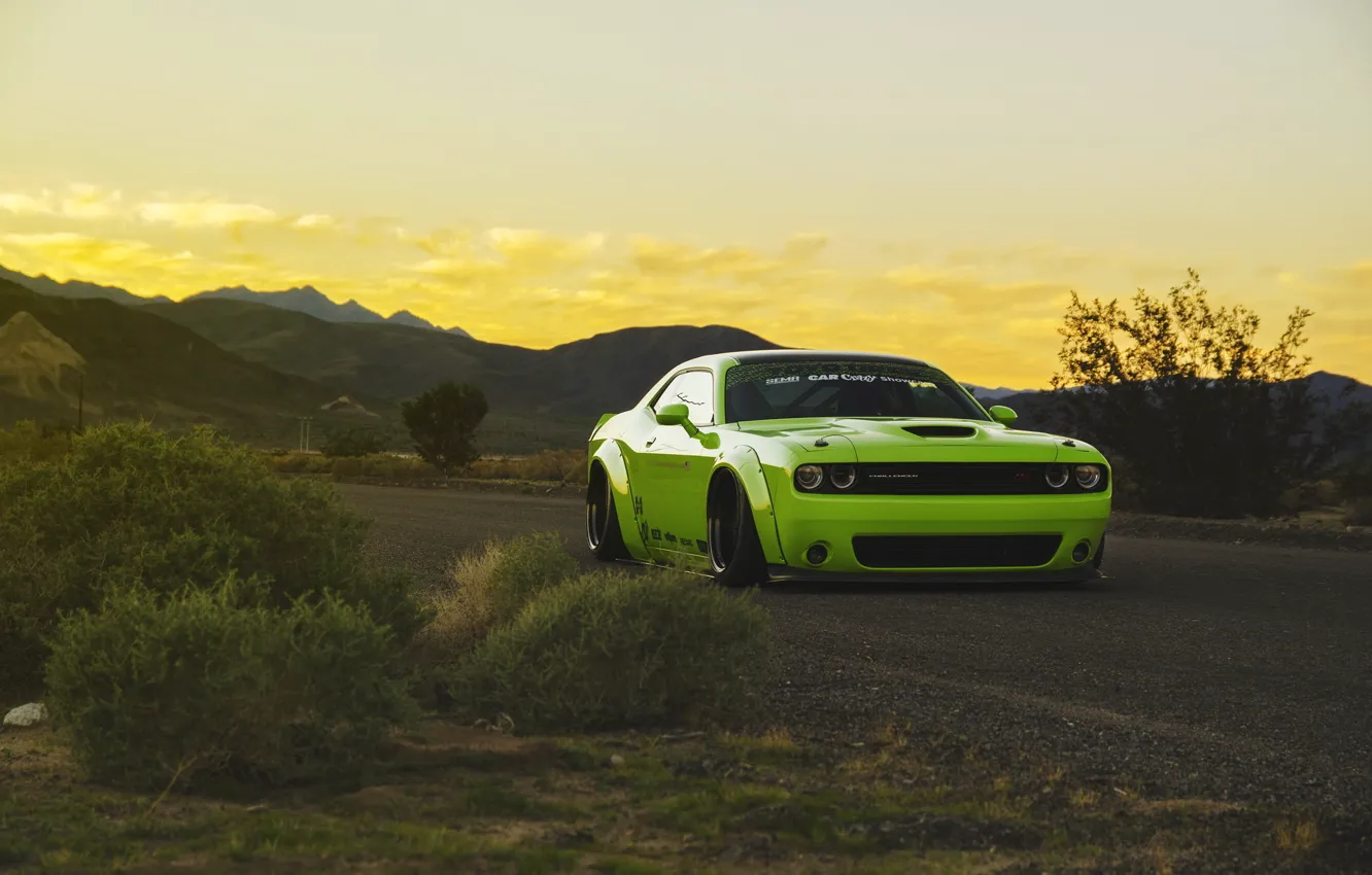 Photo wallpaper green, tuning, Dodge Challenger, tuning, muscle car, low, liberty walk