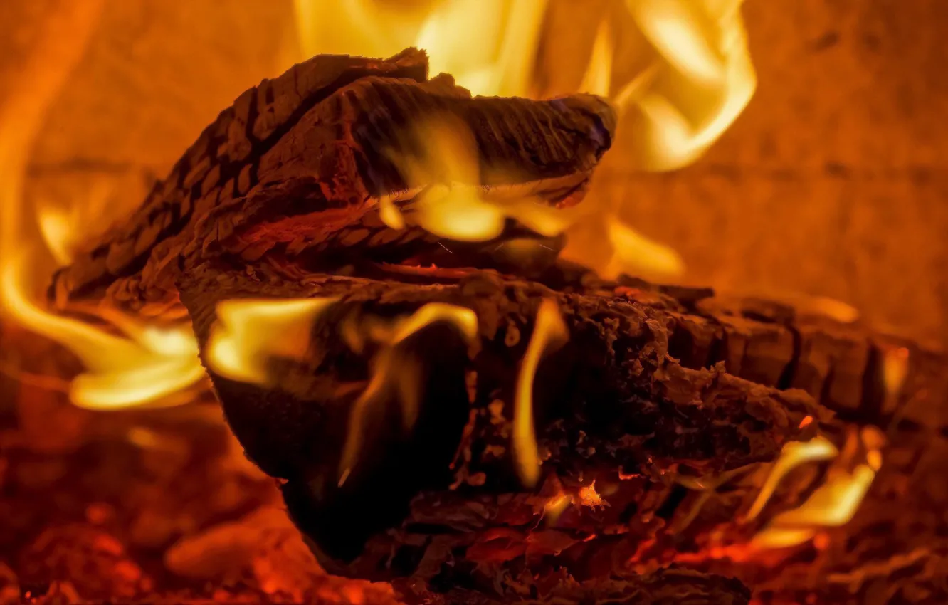 Photo wallpaper heat, fire, wood, plasma