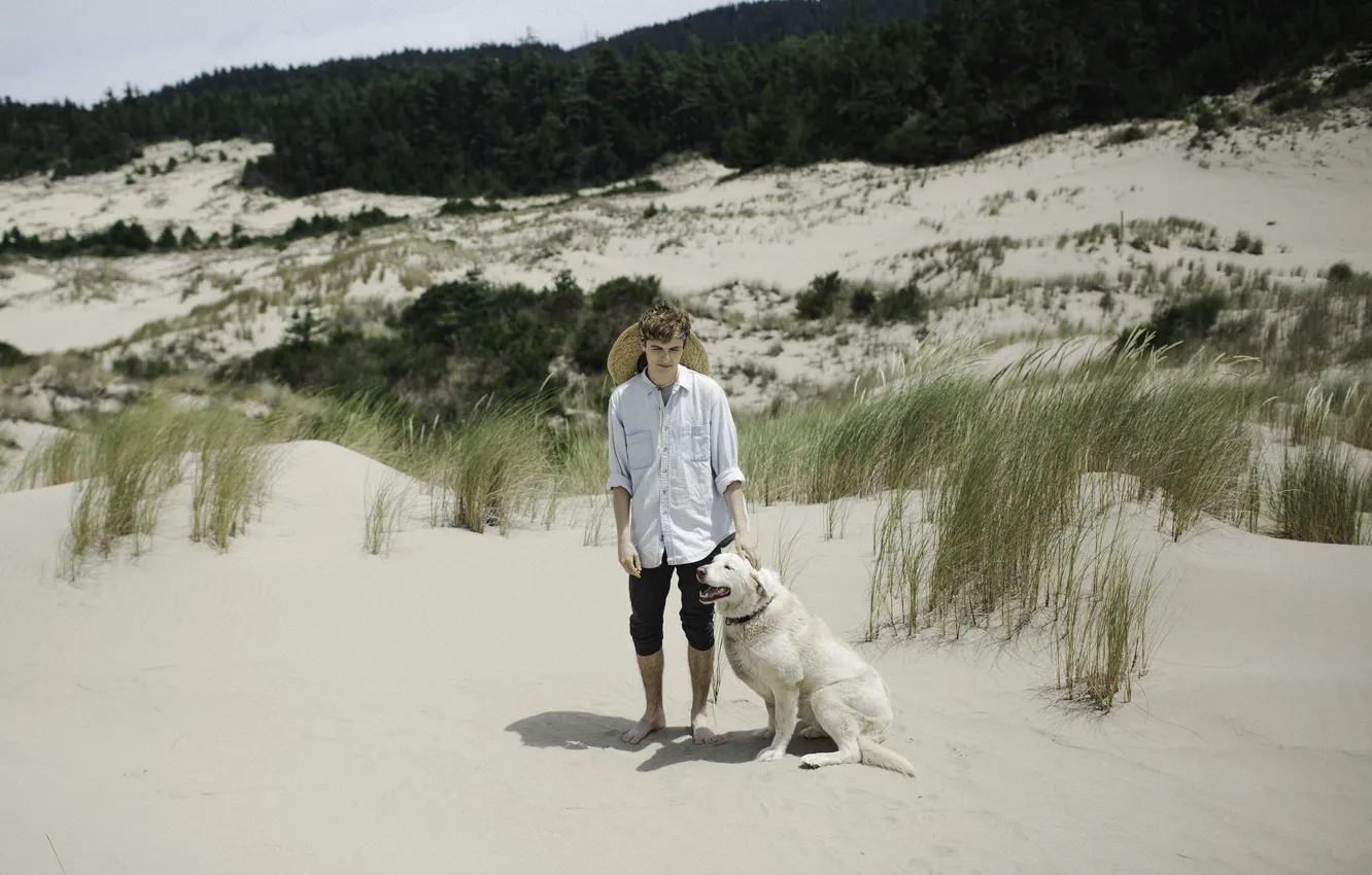 Photo wallpaper grass, dog, man, sand, shadows, wind, dune, sunny
