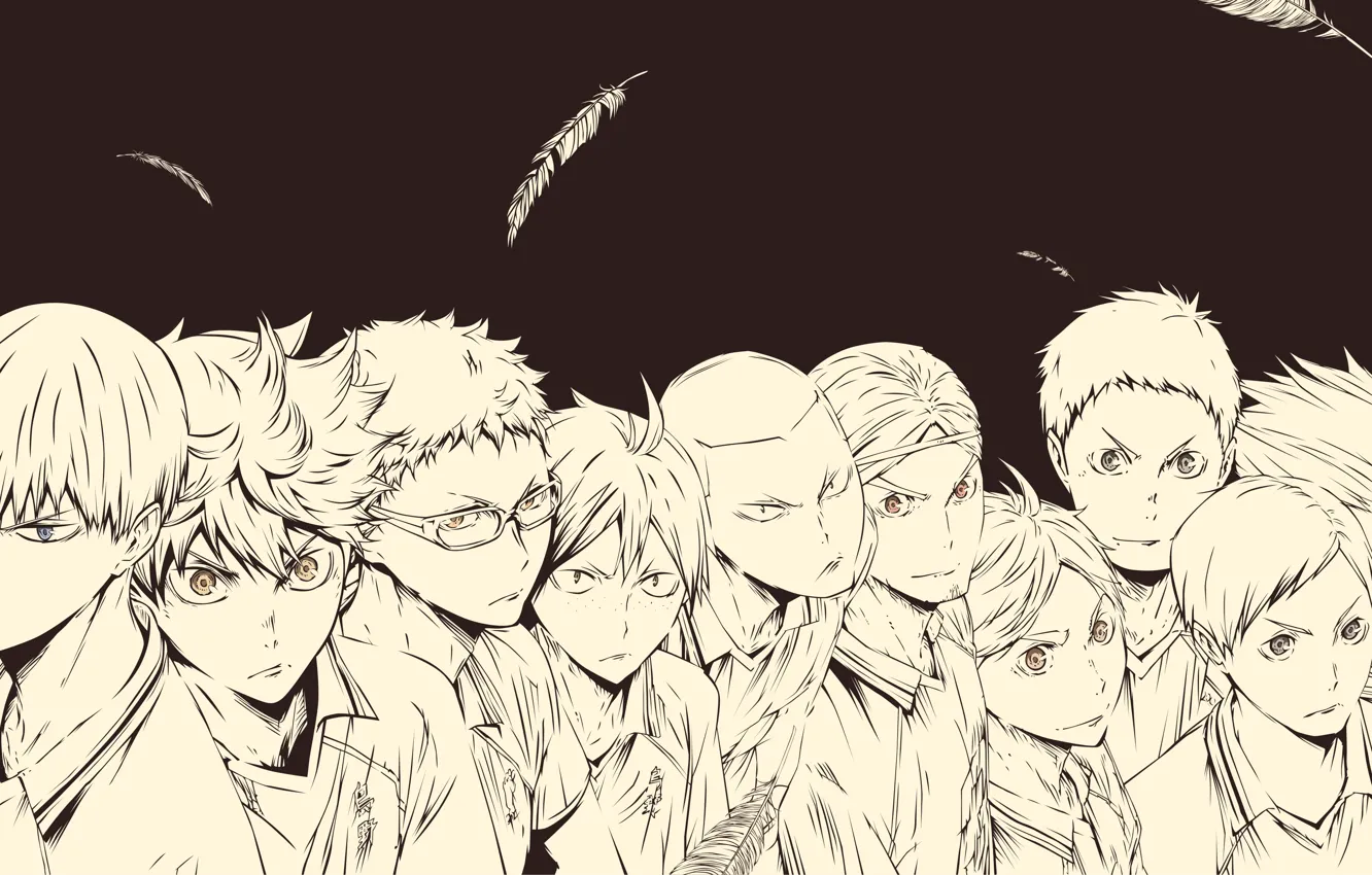 Photo wallpaper feathers, team, crows, guy, volleyball, HAIKYUU
