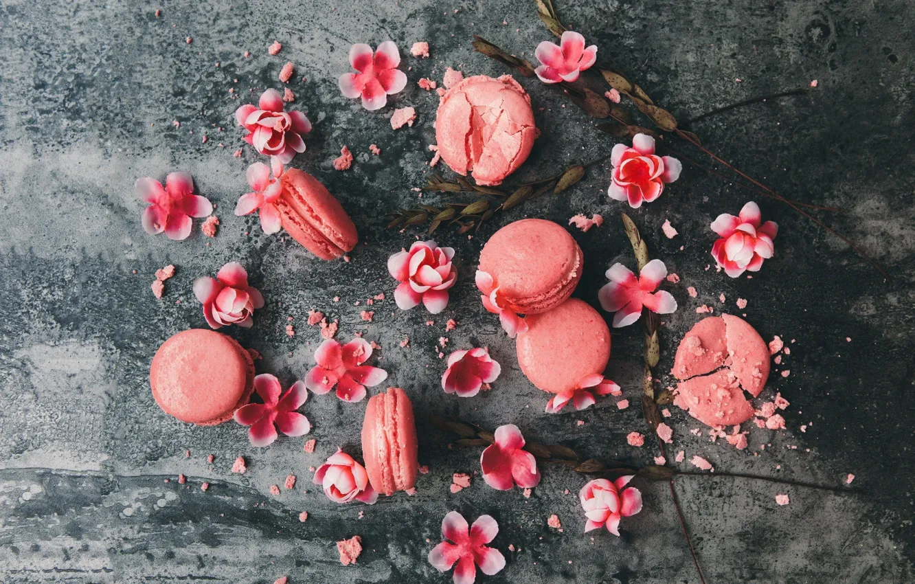 Photo wallpaper flowers, cookies, macaron