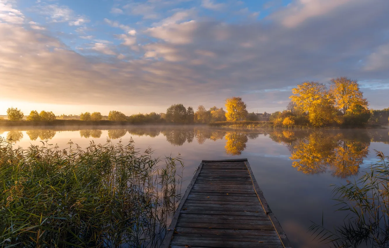 Photo wallpaper autumn, trees, lake, space, Ruslan Avdevich, wooden bridges