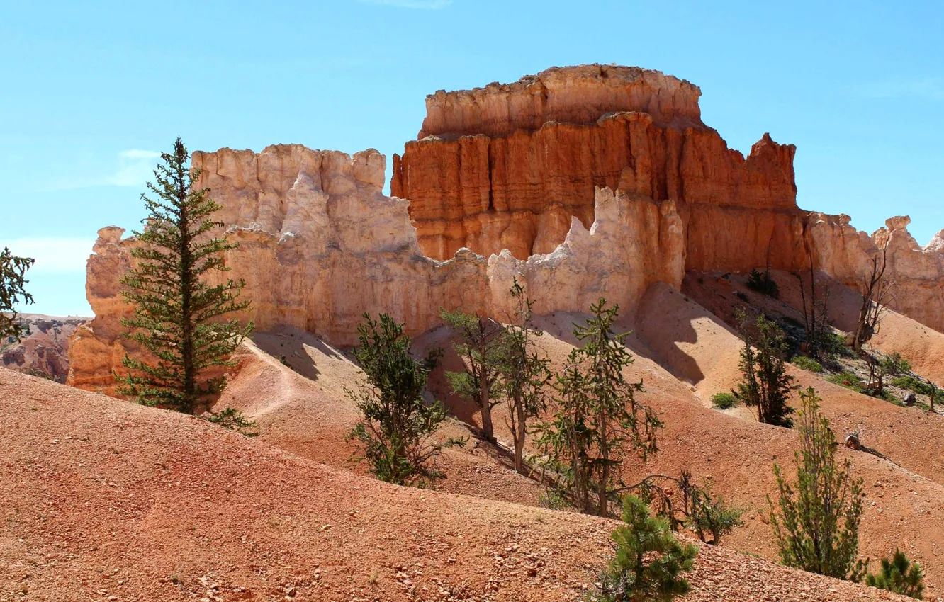 Photo wallpaper trees, landscape, mountains, rocks, canyon