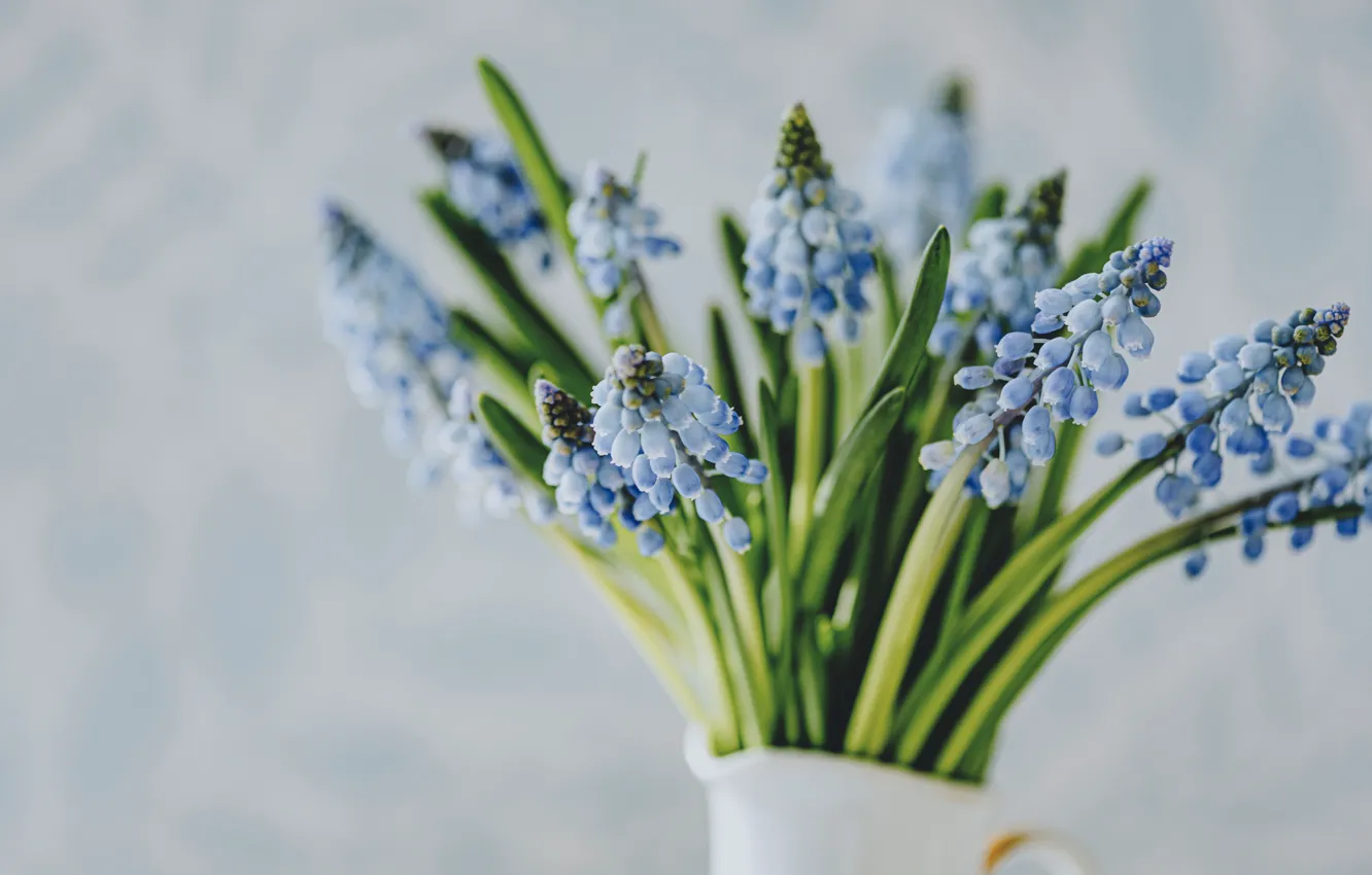 Photo wallpaper flower, vase, Anita Austvika