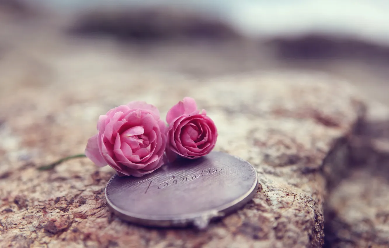 Photo wallpaper macro, flowers, background