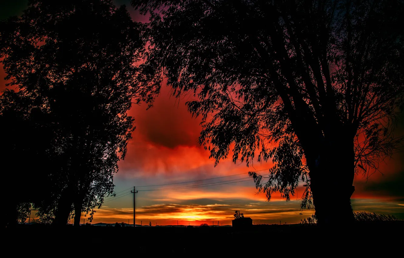 Photo wallpaper clouds, trees, sunset, nature, silhouette, glow
