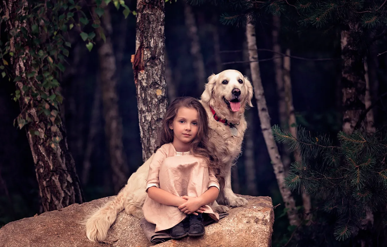 Photo wallpaper forest, trees, stones, each, dog, girl
