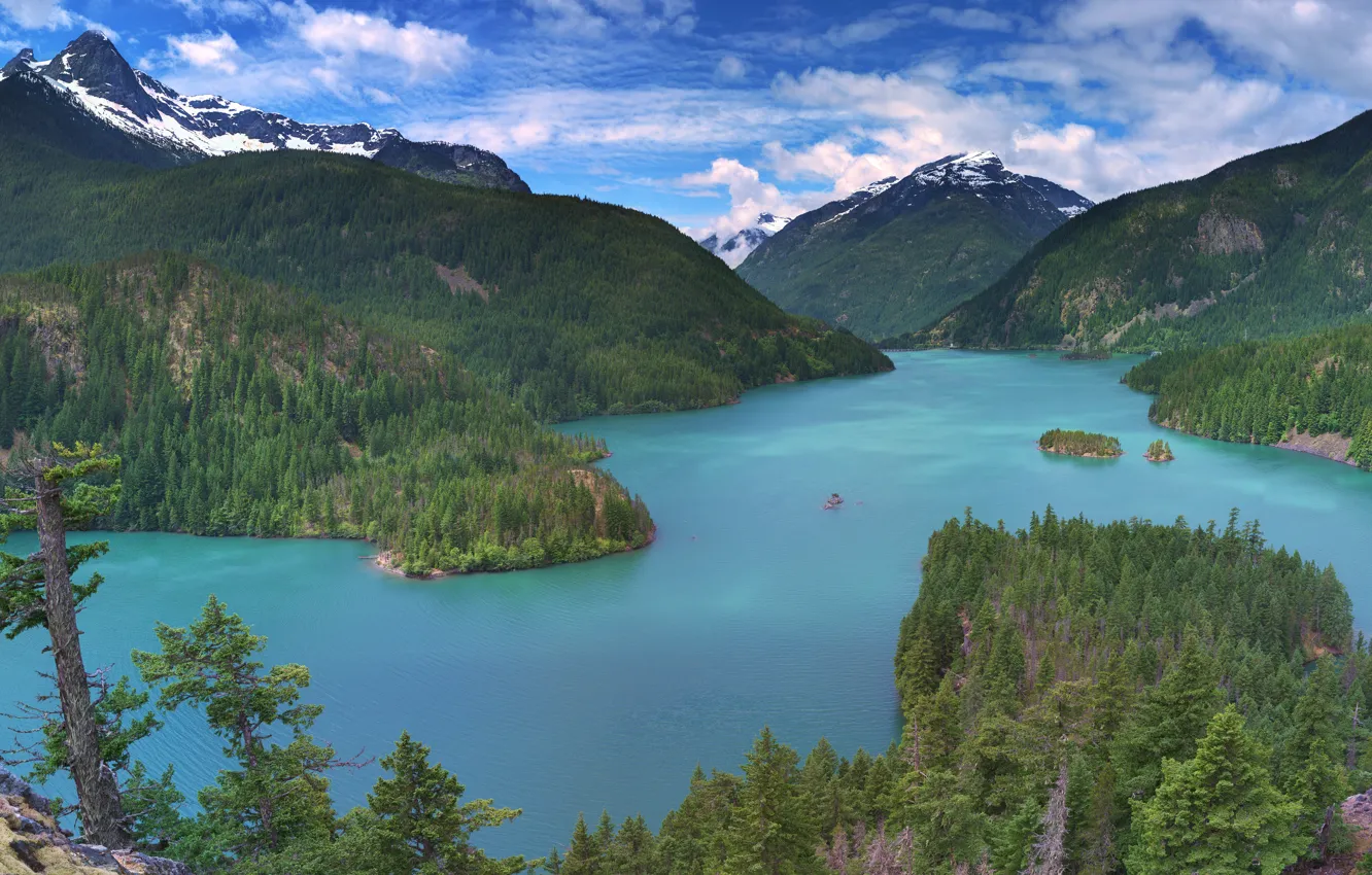 Photo wallpaper forest, mountains, lake, panorama, Washington, Washington State, North Cascades National Park, Diablo Lake
