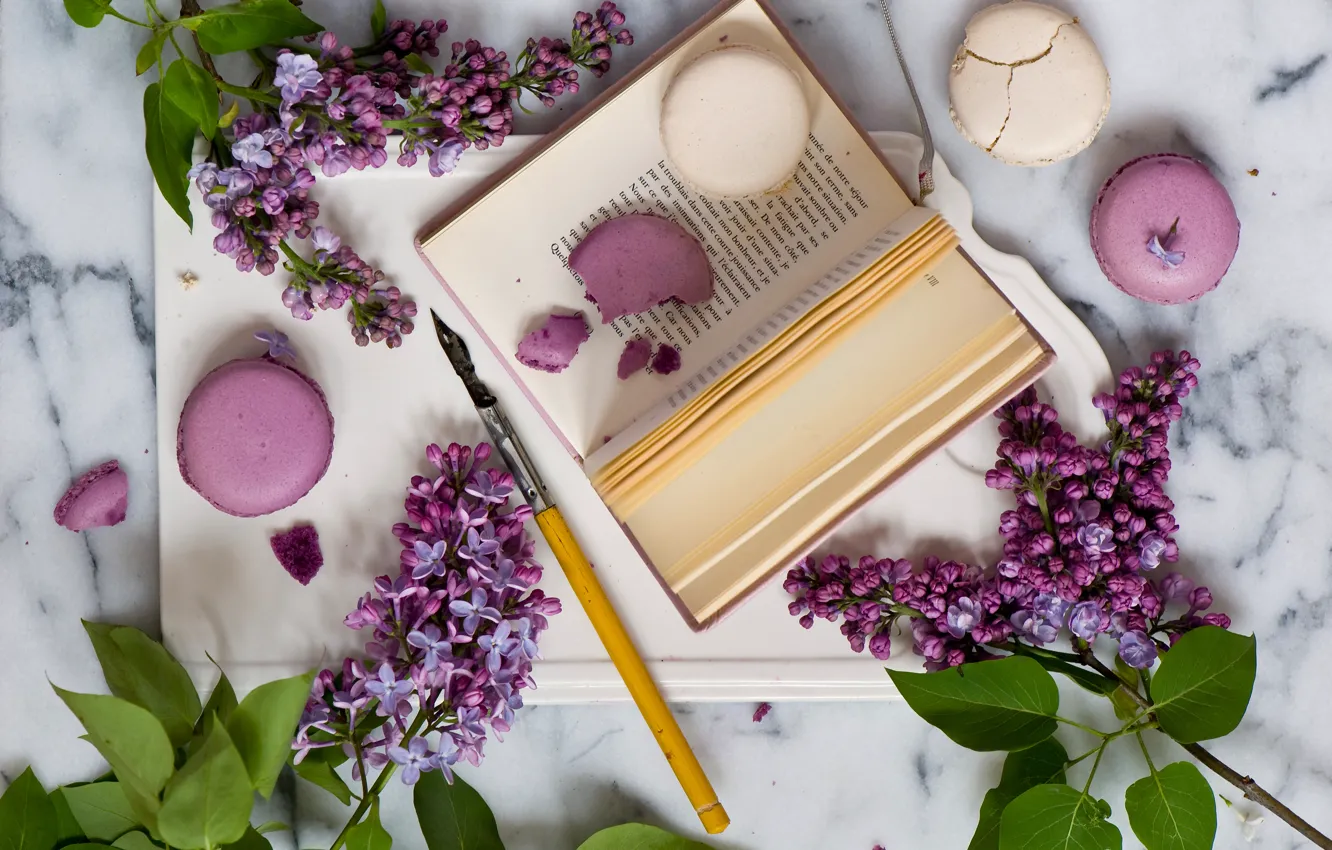 Photo wallpaper style, sprig, feathers, book, still life, lilac, pasta