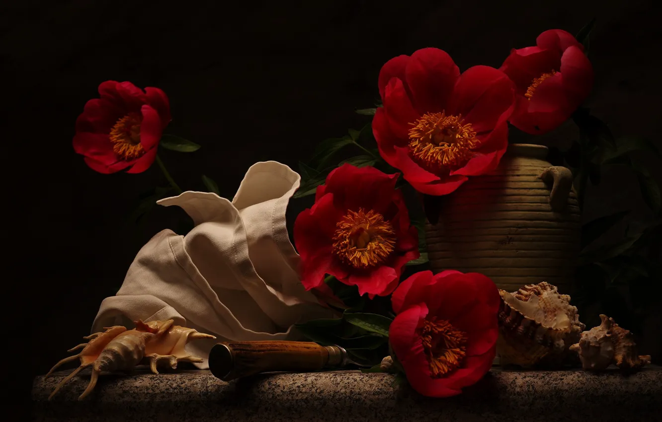 Photo wallpaper flowers, shell, still life, napkin, peonies