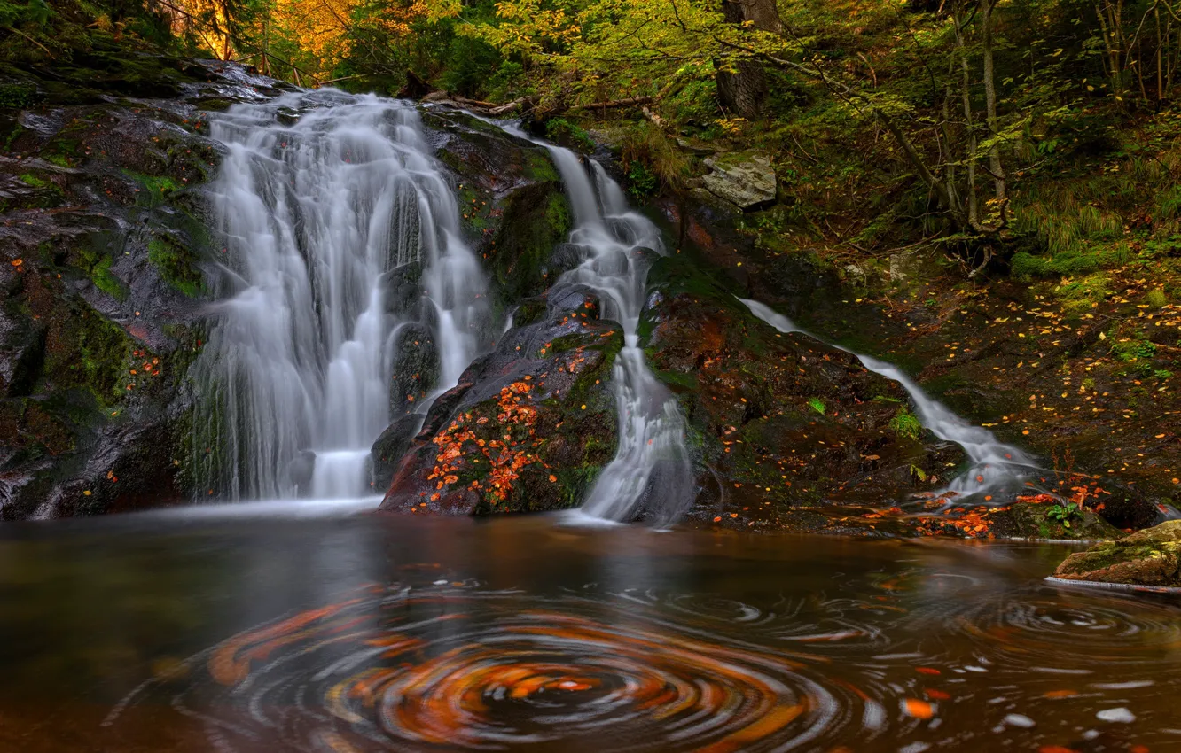 Photo wallpaper autumn, forest, nature, waterfall, stream