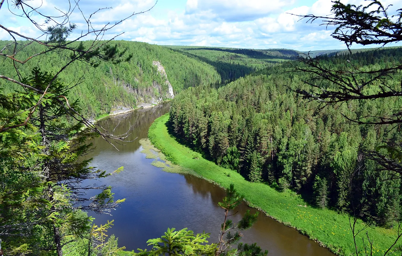 Photo wallpaper forest, the sky, mountains, river
