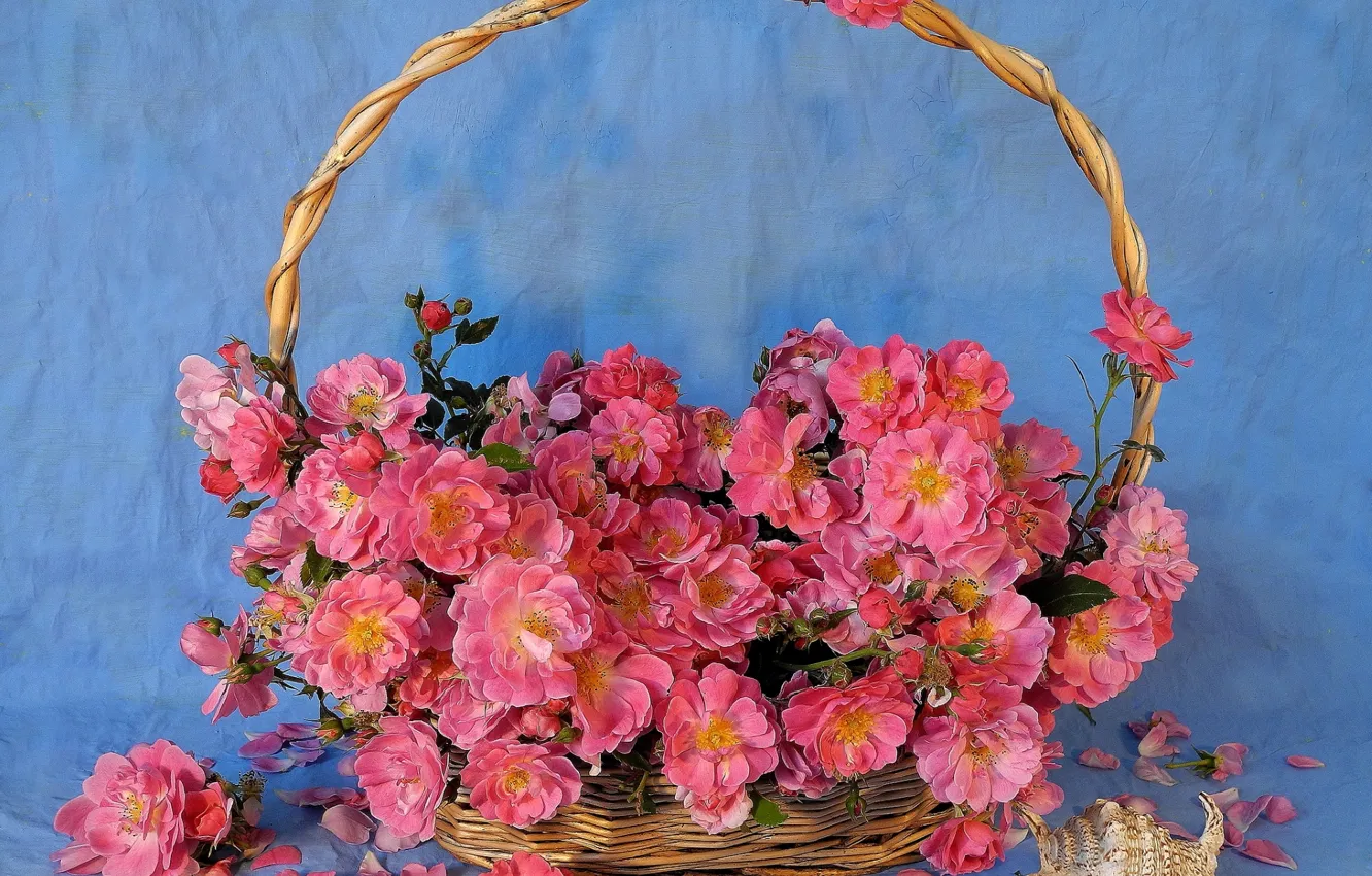 Photo wallpaper basket, briar, shell, pink
