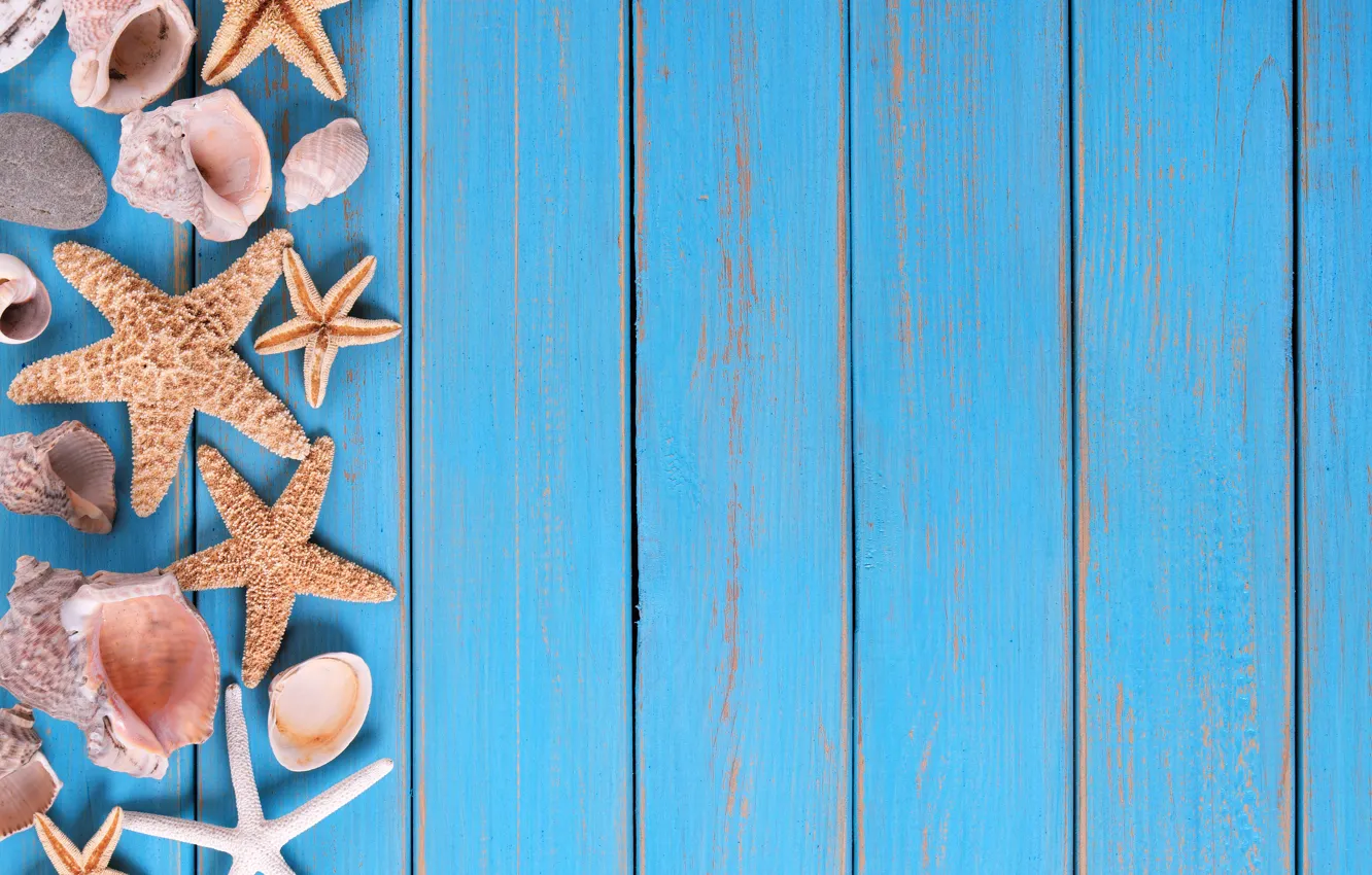 Photo wallpaper beach, stars, background, Board, shell, summer, beach, wood