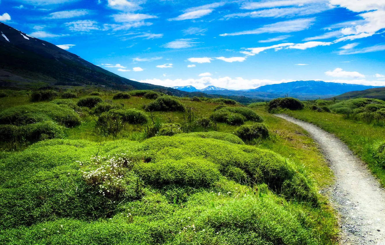 Photo wallpaper greens, the sky, grass, clouds, mountains, valley, path, Patagonia