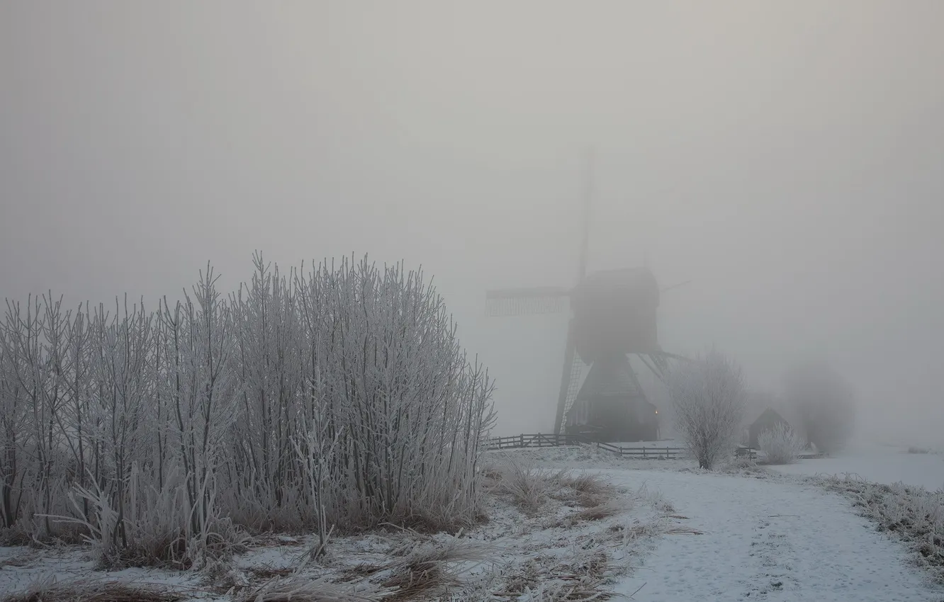 Photo wallpaper winter, road, landscape, nature, fog, mill
