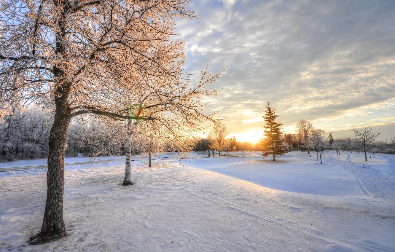 Photo wallpaper winter, landscape, morning