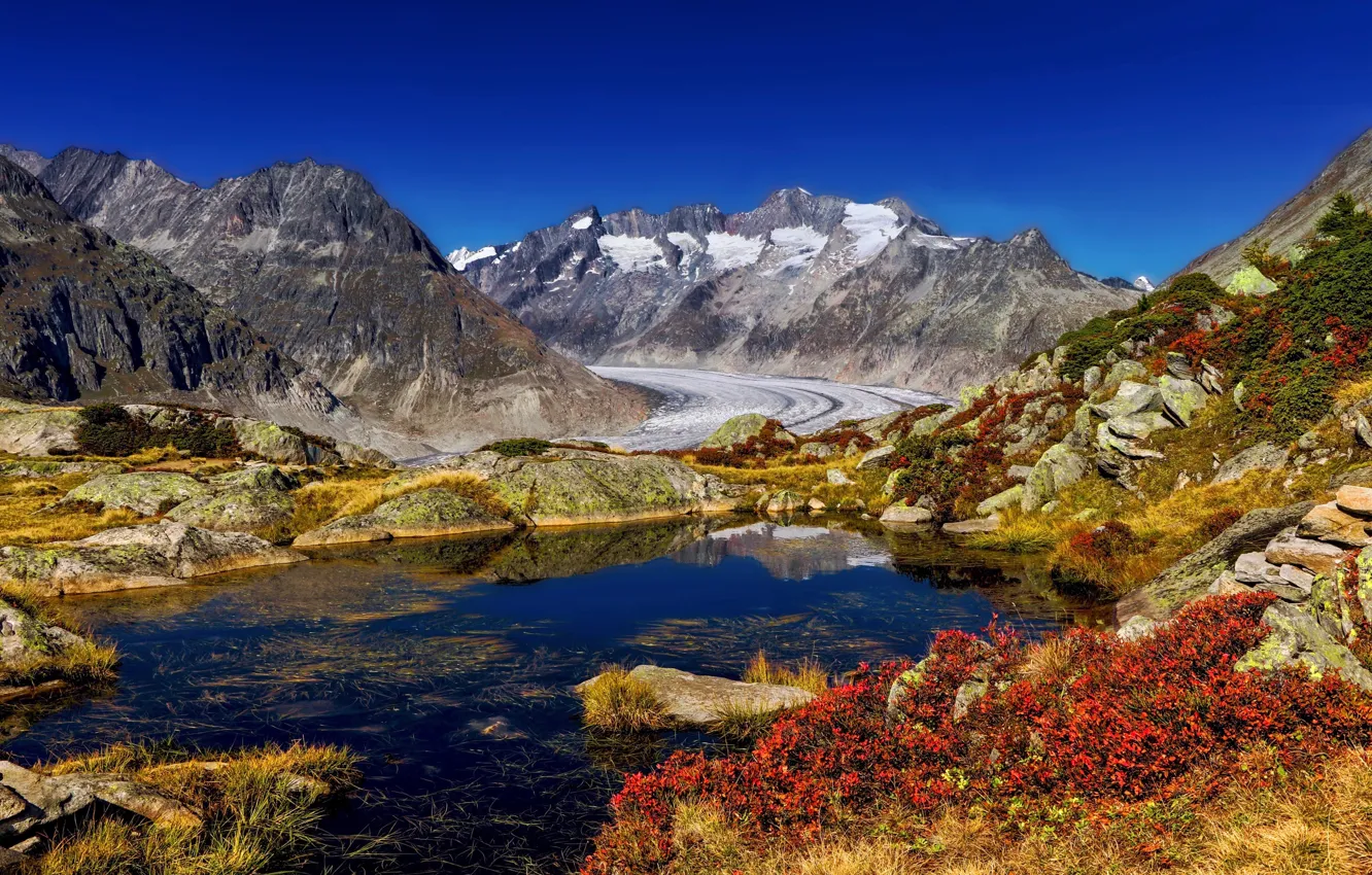 Photo wallpaper autumn, mountains, lake, Switzerland, Switzerland, Berg Lake, Bernese Alps, The Bernese Alps