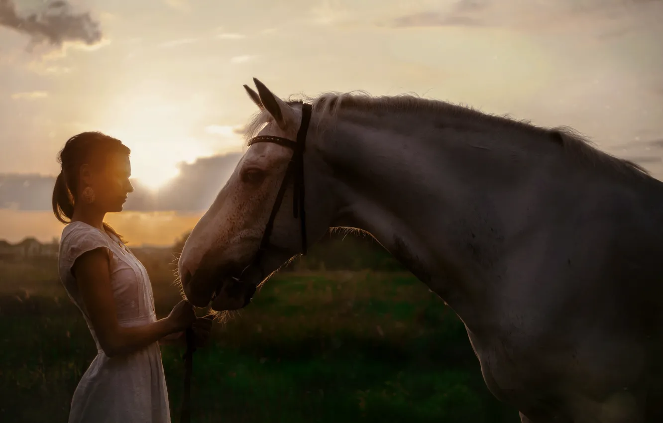 Photo wallpaper girl, sunset, horse