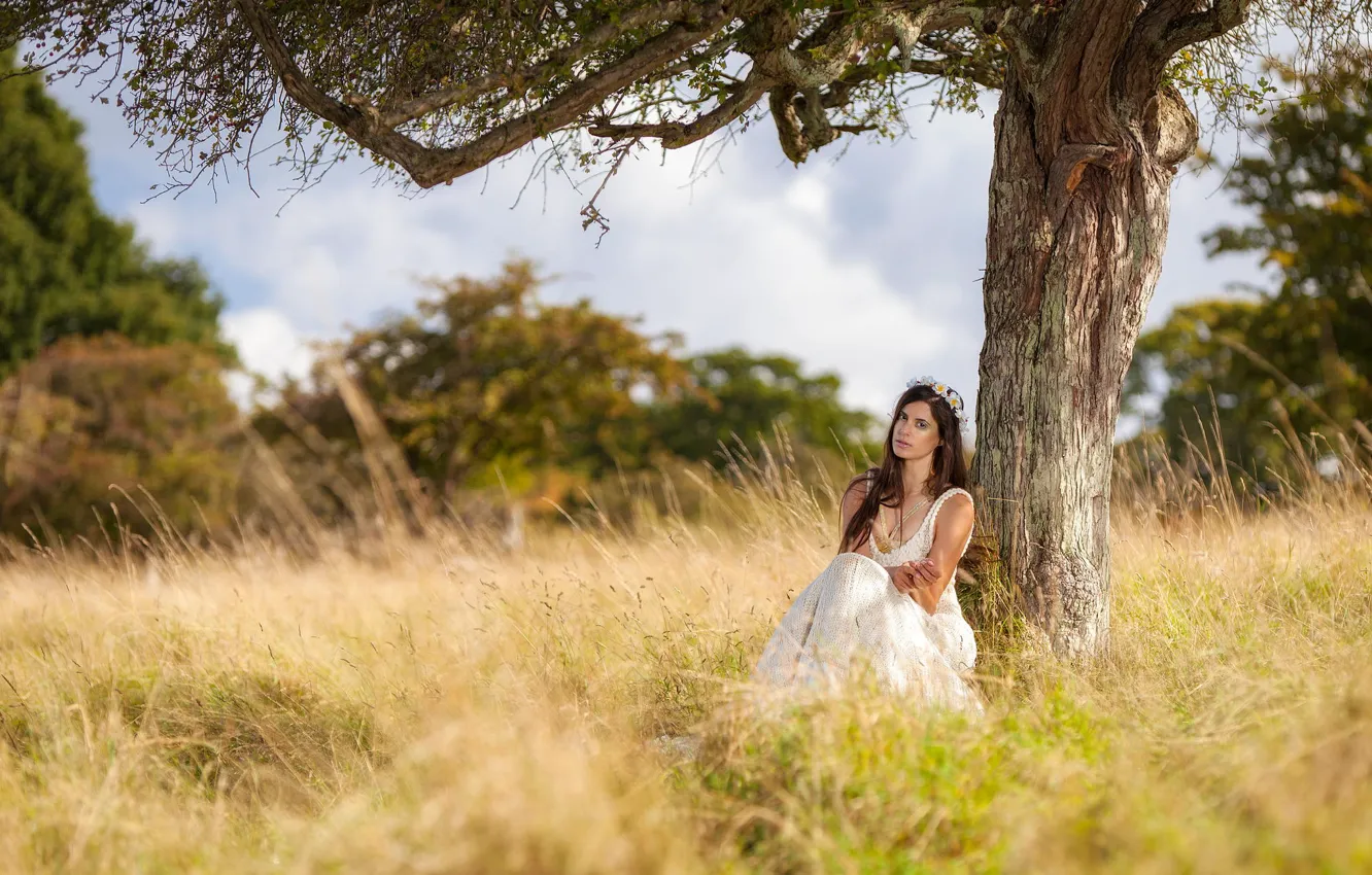 Photo wallpaper girl, nature, tree, white, dress, sitting