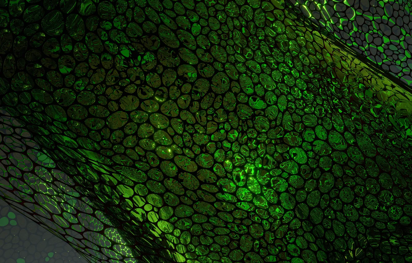 Photo wallpaper green, wallpaper, grid, render, abstraction, skeleton, surreal, blender3d