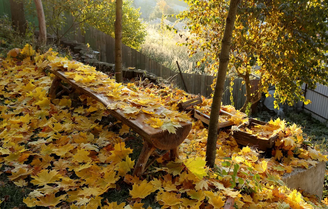 Photo wallpaper autumn, leaves, bench