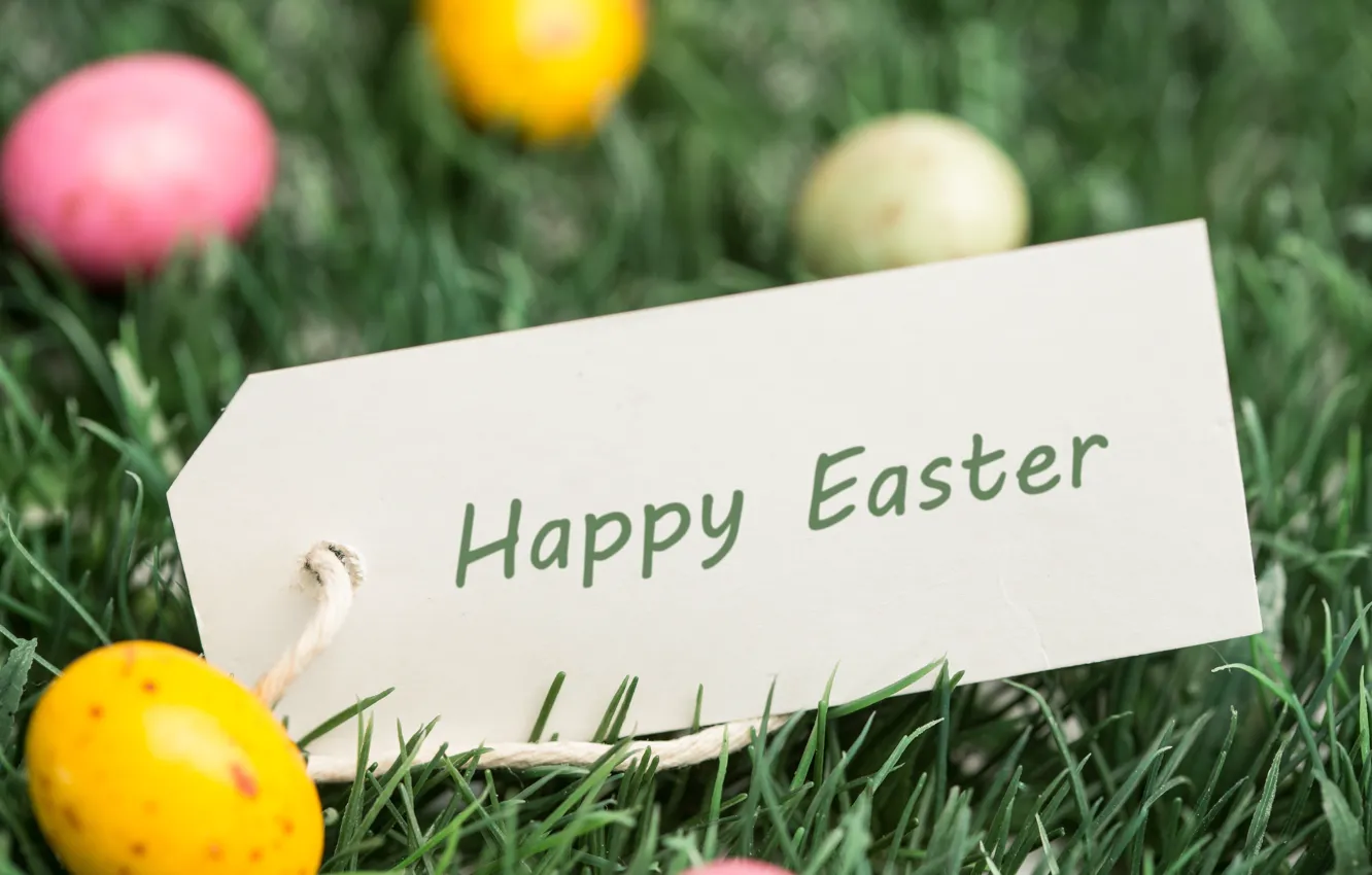 Photo wallpaper grass, holiday, eggs, Easter, postcard