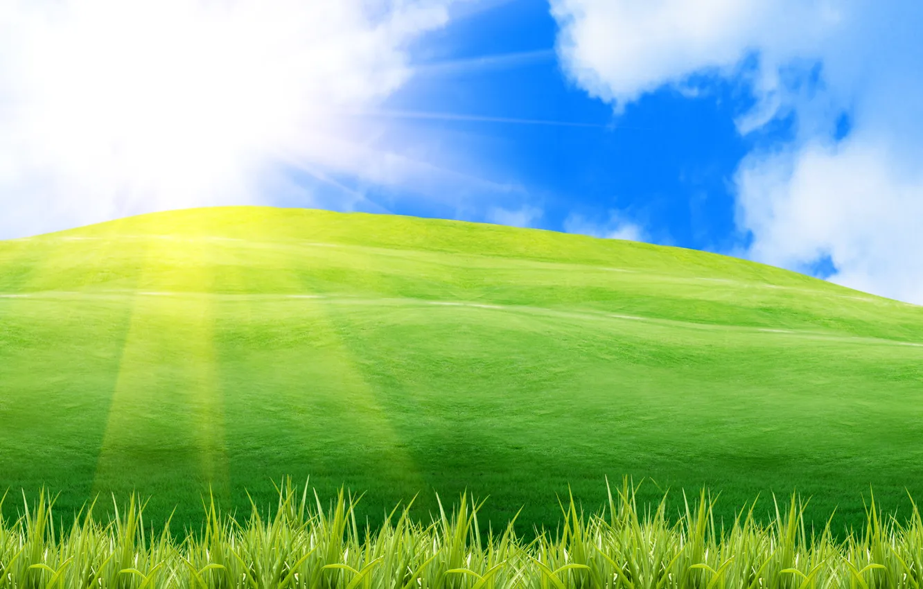 Photo wallpaper greens, summer, the sky, grass, the sun, rays, light, landscape