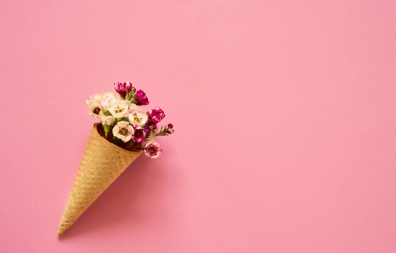 Photo wallpaper flowers, background, pink, bouquet